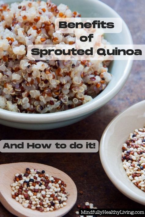 A pinterest photo with tri-colored quinoa offset in the front in a bowl next to a wooden spoon with quinoa in it also. A bowl of sprouted quinoa is in the upper back of the photo depicting the difference between sprouted vs dry quinoa.Black font with a white background that is slightly transparent reads "Benefits of Sprouted Quinoa And How to Do It!" At the bottom with white lettering and black background reads "MindfullyHealthyLiving.com" Quinoa Health Benefits, What Is Quinoa, Sprouting Quinoa, Quinoa Benefits, Quinoa Seeds, Nutrition Facts Label, Inflammatory Foods, Optimum Nutrition, Healing Food