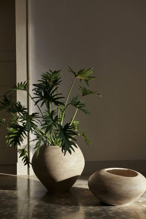 We’re so incredibly excited to introduce the SS23 collection, Notable Moments, by ferm LIVING. Inspired by the contrasts of life, this new line seamlessly blends art and design to create beautiful, authentic, and distinctive pieces. Potted Plant Aesthetic, Dna Aesthetic, Potted Plants Outdoor, French Word, Organic Lines, Interior Plants, Large Plants, Ferm Living, Small Trees