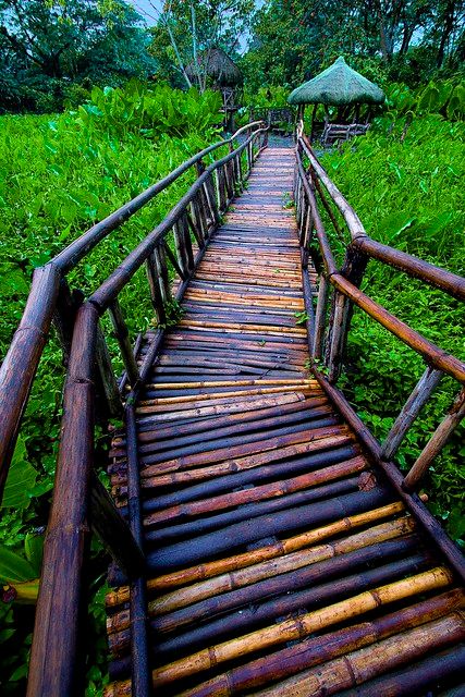 Bamboo Bridge Design, Bamboo Walkway, Bamboo Bridge, Eco Park, Bamboo Building, Tropical House Design, Walkways Paths, Bamboo Structure, Shed Home