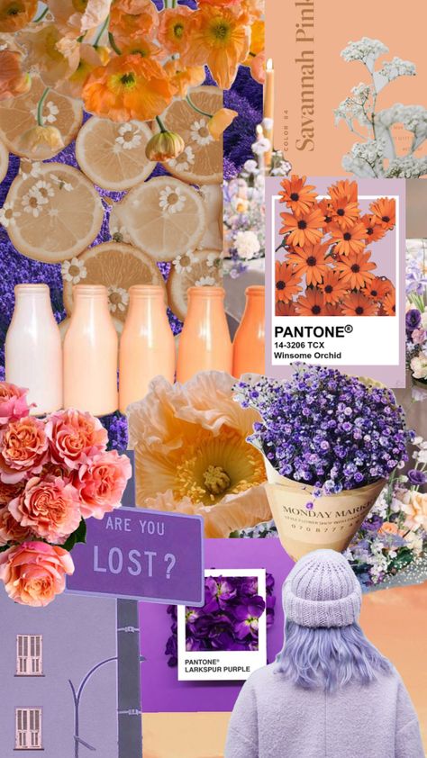 Purple And Peach, Peach And Lavender Bedroom, Purple And Peach Aesthetic, Peach And Lavender Aesthetic, Lavender And Peach, Purple Peach Color Palette, Lilac Orange Wedding, Peach And Lavender Wedding, Pink Peach Lavender Color Palette