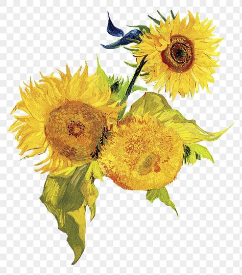 Van Gogh Texture, Paint Collage Ideas, Van Gogh Stickers, Sunflower Van Gogh, Sunflower Collage, Sunflowers Van Gogh, Van Gogh Aesthetic, Paint Png, Sunflower Sticker