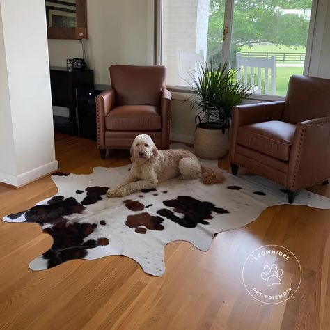 They love them as much as you do! 🐶 Our Cowhides are petfriendly, hypoallergenic, and too cozy 🐾☺️ #petapproved #ecofriendly #eCowhides #cozyhome #homedecor #breathright #handcrafted #justforyou #petfriendly #dremhome #livingroomdesign #interiordecorating #arearugs #houseenvy Rug Styling, Room Focal Point, Boho Interiors, Cowhide Rug, Cow Hide Rug, Styling Tips, Neutral Tones, Natural Texture, Cozy House