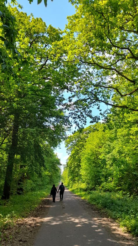 Forest French France walk aesthetic vibes travel foret cinematographic lovers couple cute destination inspo trip ideas date ideas sunny Walk Couple, Walking Forest, Walk Aesthetic, Walking In The Forest, Forest Walks, Vision Boarding, Walk In The Forest, Forest Walk, Couple Cute