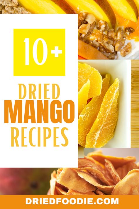 Learn how to make these delicious dried mango recipes. Includes ideas for breakfast, snacks, desserts & more. Number 5 is my all-time favorite! How To Make Dried Mango, Recipes With Dried Mango, Freeze Dried Mango Recipes, Dried Mango Recipe Desserts, Recipes Using Dried Mango, Dried Fruit Dessert, Dried Mango Recipe, Snacks For Traveling, Dried Fruit Recipes