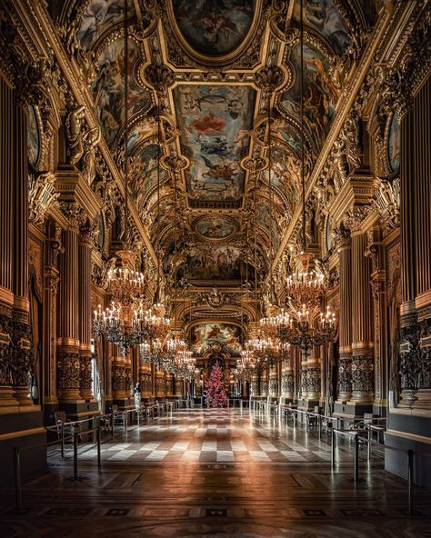 Fabien on Instagram: “Christmas tree is up, all good and ready for Santa 🎄🎅🏻 . @nikonfr D7500 / Tokina 12-24 . #nikonfr #nikon #christmastree #christmas #opera…” Garnier Aesthetic, Opera Garnier Paris, Opera Paris, Emperor Napoleon, Hohenzollern Castle, Opera Garnier, Academia Aesthetics, Paris Aesthetic, Europe Tours