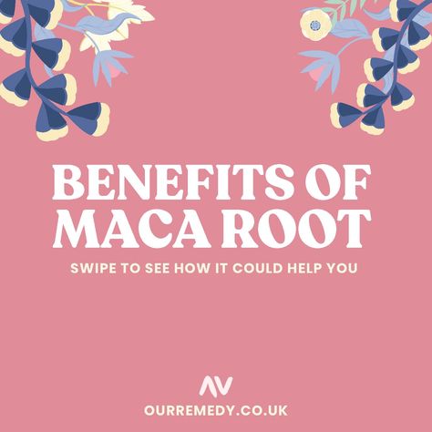 The benefits of maca root may surprise you! This adaptogen has amazing health benefits, from energy to labdio! Maca Root Benefits Woman, Maca Fertility, Benefits Of Maca Root, Benefits Of Maca, Maca Root Capsules, Maca Benefits, Increase Memory, Chances Of Getting Pregnant, Maca Root