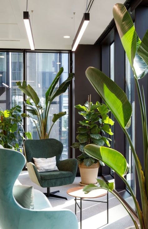 Plant Office Design, Green Office Decor, Plant Office Decor, Breakout Space, Modern Bureau, Startup Office, Wellness Room, Office Interior Design Modern, Green Office