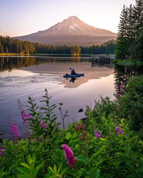 National Geographic Your Shot (@natgeoyourshot) • Instagram photos and videos Oregon Aesthetic, Forest Oregon, Trillium Lake, Vista House, Leave No Trace, Mt Hood, Summer Road Trip, Get Outdoors, Remember When