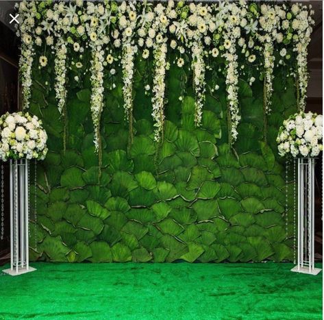 #wisteria#flower#wall Wisteria Wedding, Reception Stage Decor, Digital Photography Backgrounds, Green Wedding Flowers, Garden Backdrops, Leaf Curtains, Bride Photos, Luxury Wedding Decor, Background Green