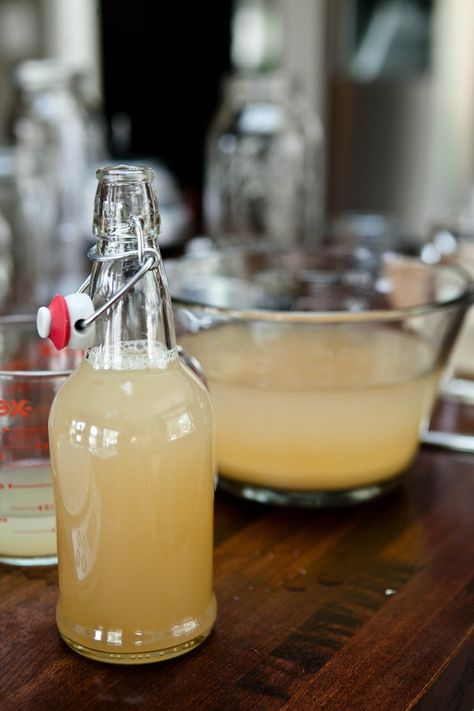 Homemade Ginger Beer, Ginger Beer Recipe, Ginger Bug, Fermentation Recipes, Homemade Syrup, Homemade Wine, Fermented Drink, Homemade Drinks, Beer Recipes