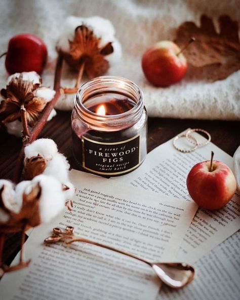 ✨✨ • #cozy #cozylife #cozylifestyle #cozyvibes #cozyseasons #autumn #fall #autumnal #candle Halloween Films, Jul Diy, Fall Mood Board, Autumn Candle, Blogger Tips, Fall Feels, Fall Candles, Wrapping Ideas, Christmas Mood