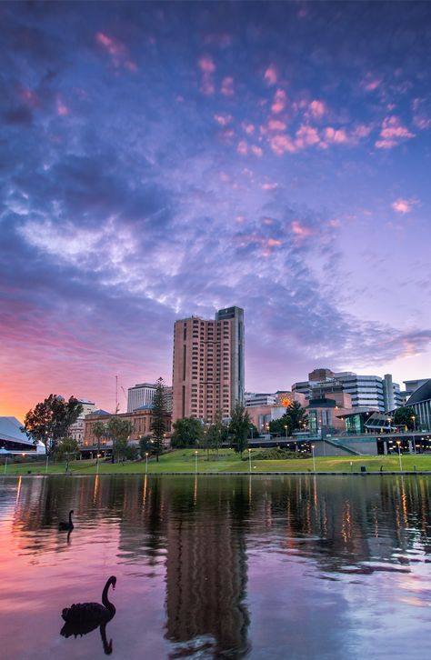 Once overshadowed by Australia’s flashier eastern metropolises, like Sydney and Melbourne, Adelaide is ready for its close-up. The laid-back capital city of South Australia enchants with its vibrant culinary scene, world-class arts festivals, ample parkland, buzzing nightlife, perfectly gridded and pedestrian friendly downtown, and accessible escapes to some of the country’s most celebrated wine valleys. It is, in short, an opportune place to spend a relaxing but event-filled long weekend. Visit Wales, Adelaide Australia, Adelaide South Australia, South Australia, Western Australia, Tourist Attraction, Where To Go, Bangkok, Night Life