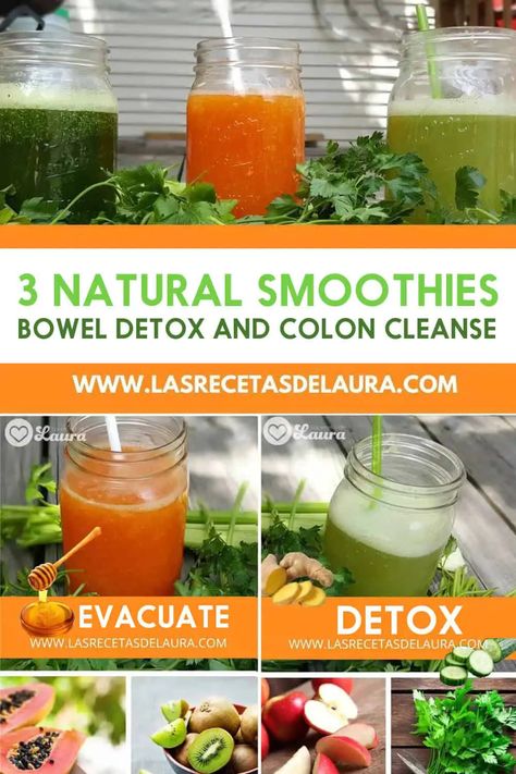 COLON CLEANSE SMOOTHIES Intestine Cleanse, Intestinal Cleanse, Natural Smoothies, Papaya Smoothie, Colon Cleanse Recipe, Cleaning Your Colon, Gastrointestinal Disease, Colon Detox, Colon Health