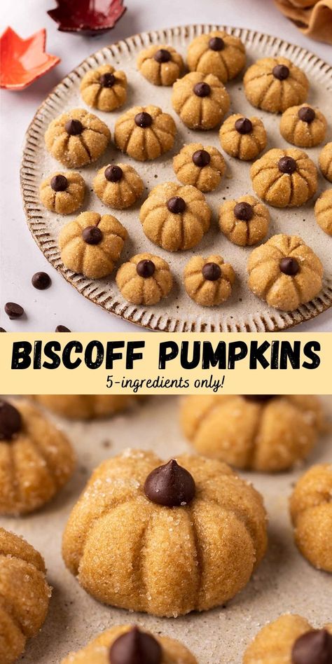 These biscoff pumpkins are adorable snacks and cake/cupcake toppers for Fall/Autumn or Halloween! They consist of a three-ingredient biscoff truffle and are fun to make. Biscoff Pumpkins, Biscoff Vegan Recipes, Halloween Pumpkin Cupcakes, Vegan Halloween Snacks, Vegan Halloween Desserts, Halloween Truffles, Halloween Styling, Biscoff Cupcakes, Pumpkin Butterscotch