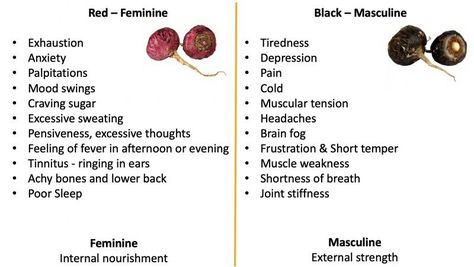 Red, Black Maca Red Maca Root Benefits, Black Maca Root Benefits Woman, Maca Benefits Woman, Red Maca Root Benefits Woman, Maca Root Benefits Woman, Black Maca Benefits, Red Maca Root, Herb Benefits, Maca Benefits