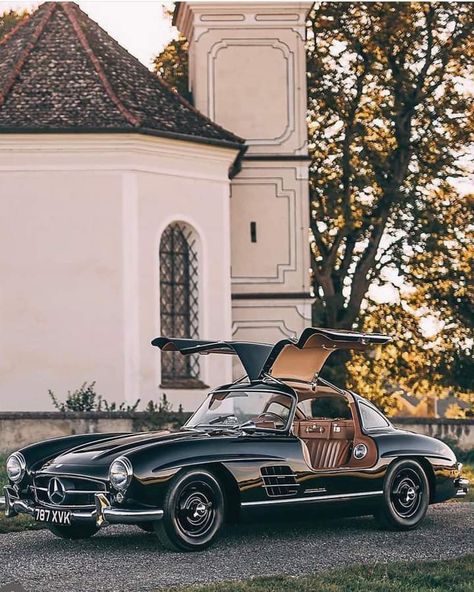 Beauty of the day
Mercedes Benz 300SL Gullwing Mercedes Classic, Mercedes Benz 300 Sl, Old Mercedes, Mercedes 300, Old Vintage Cars, Mercedes Sl, Mercedes Benz 300, Classic Mercedes, Mercedes Benz Classic