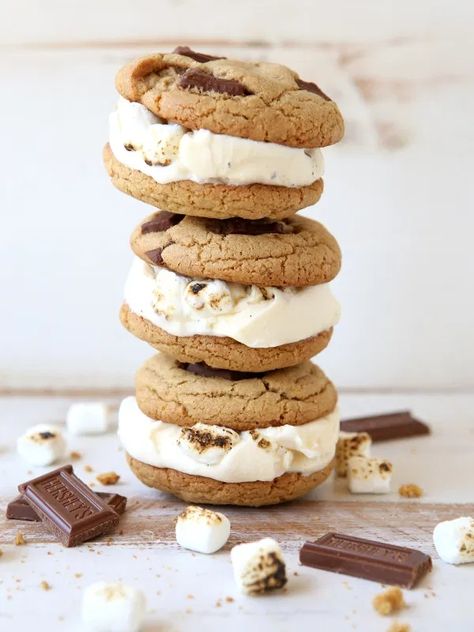 S'mores Ice Cream Sandwiches - Completely Delicious Confectionery Photography, Smores Ice Cream Sandwich, Marshmallow Ice Cream, Lost Society, Homemade Ice Cream Sandwiches, Completely Delicious, Smores Dessert, Ice Cream Sandwiches Recipe, Steak Dishes