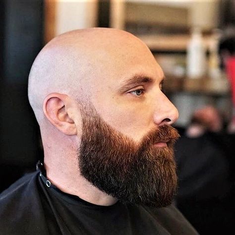 beard style • Instagram Long Beard Styles For Bald Men, Bald With Beard Style, Bald And Bearded Men, Beard Bald, Bald Hairstyles, Beard Styles Bald, Bald Head With Beard, Bald Haircut, Shaved Head With Beard