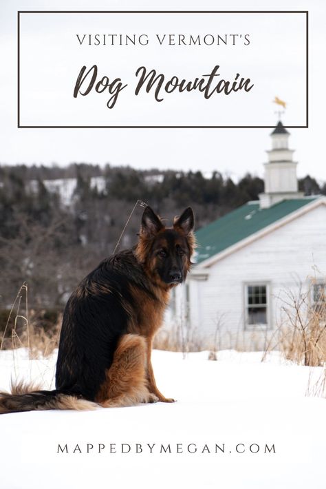 Rv Dog, Dog Mountain, Dog Friendly Vacation, Dog Friendly Hotels, Rv Road Trip, Swimming Pond, New England Travel, Animal Sanctuary, Dog Party