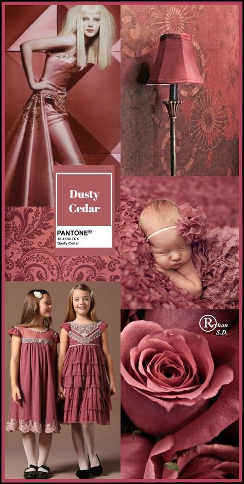 Pantone 2024, Soft Autumn Color Palette, Soft Summer Colors, Mode Rose, Pantone Colour Palettes, Color Schemes Colour Palettes, Color Trends Fashion, Color Collage, Beautiful Collage