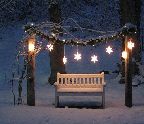 Story Den bench- Hear all about Gertrude's adventures?? Best Christmas Lights #Tumblr bestchristmaslights.tumblr.com Best Christmas Lights, Christmas Lighting, Winter Diy, Winter Wonder, Noel Christmas, Christmas Joy, Winter Garden, Christmas Inspiration, Winter Scenes