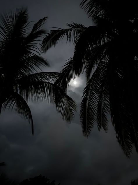 Black Tropical Wallpaper, Tropical Dark Aesthetic, Goth Summer Wallpaper, Spooky Beach Aesthetic, Tropical Goth Aesthetic, 2024 Wallpaper Iphone, Goth Beach Aesthetic, Instagram Filler Photos, Peaceful Pics