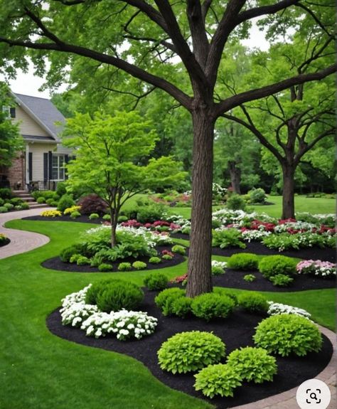 Boxwood Landscaping, Landscaping Around Trees, Front Garden Landscape, Tree Stumps, Dream Yard, Tree Ring, Front Landscaping, Lawn And Landscape, Diy Outdoor Decor