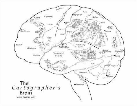 Cool Maps on Instagram: “The Human Brain as a Map. Source: whereexactlymaps.com —— —— —— #coolmaps #maps #globe #world #maps #earth #travel #cool” Cool Maps, Brain Map, Brain Mapping, Imaginary Maps, The Human Brain, World Maps, Human Brain, Thinking Outside The Box, The Brain