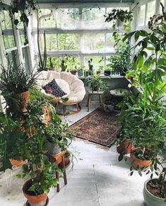 Indoor Sunrooms, Gard Modern, Small Sunroom, Indoor Balcony, Sunroom Decorating, Sunroom Designs, Balcony Plants, Relaxation Room, House Plants Decor