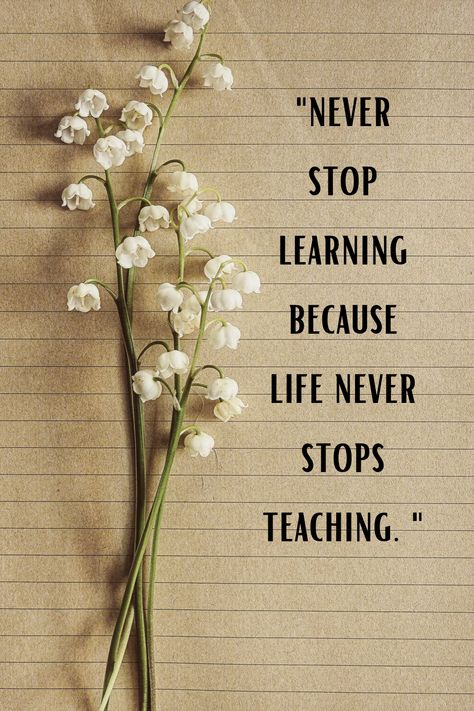 Never Stop Learning Because Life Never Stops Teaching, Lifelong Learning Quotes, Never Stop Learning Quotes, Iceberg Model, Never Stop Learning Because Life, Life Long Learning, Cherish Life Quotes, Daily Life Quotes, Cherish Life