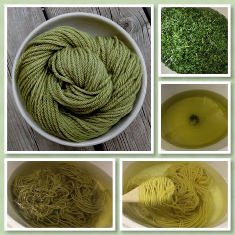 Tinta Natural, Carrot Tops, Fabric Dyeing Techniques, Diy Dye, Natural Dye Fabric, Eco Dyeing, Carrot Top, Spinning Wool, Natural Dyeing