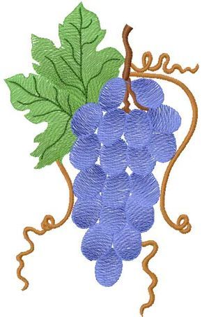 Grape free embroidery design 2 - Fruits and Vegetables embroidery - Machine embroidery community Vine Embroidery, Stitch Collection, Cross Stitch Collection, Detailed Embroidery, Church Banners, Industrial Sewing, Fruit Design, Church Design, Free Machine Embroidery Designs