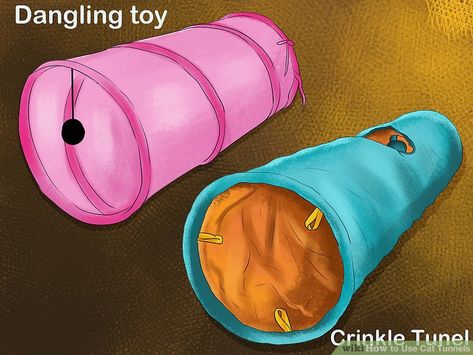 How to Use Cat Tunnels: 11 Steps (with Pictures) - wikiHow Different Types Of Cats, Animal Medicine, Scared Cat, Cat Tunnel, Veterinary Medicine, Cat Training, Cat Walk, Indoor Cat, Large Animals