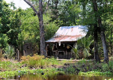 louisiana bayou shack | Swamp Shack | Flickr - Photo Sharing! Swamp Shack, Bug Out Location, Louisiana Swamp, Louisiana Bayou, Louisiana Homes, Southern Gothic, New Orleans Louisiana, Cabins In The Woods, Abandoned Places