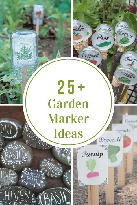 How do you identify your plants in the garden after you have planted the seed? I usually use Garden Markers to help me to know what plants are what. Garden Labels Diy, Plant Markers Diy, Garden Signs Diy, Garden Markers Diy, Vegetable Garden Markers, Plantarea Legumelor, Marker Ideas, Garden Plant Markers, Diy Marker