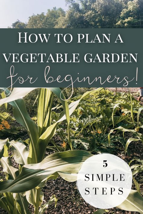 Garden Planting Layout, Planting Layout, Small Vegetable Garden, Small Garden Layout, Garden For Beginners, Start Gardening, Garden Planning Layout, Growing Organic Vegetables, Small Vegetable Gardens