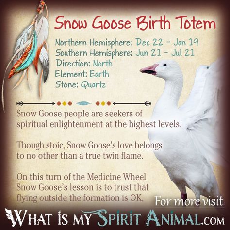 Birth Totem, Native American Astrology, Animal Totem Spirit Guides, Native American Zodiac, Native American Animals, Spirit Animal Meaning, Birth Signs, Native American Totem, Animal Meanings