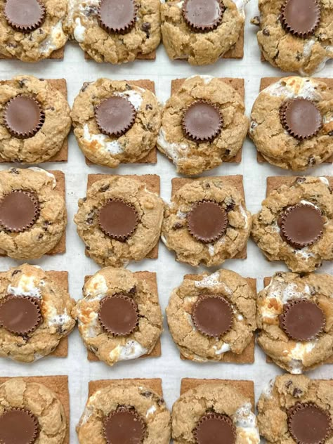 Peanut Butter S'more Cookies - SALTED sweets Smore Cookies, Gf Graham Crackers, Homemade Lemon Bars, Peanut Butter Smores, Coffee Cake Cookies, Cookie Board, Butter Desserts, Peanut Butter Cup Cookies, Peanut Butter Marshmallow