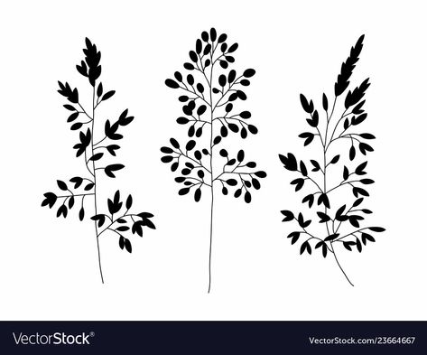 Flowers Botanical Illustration, Herbs Plants, Silhouette Tattoos, Flower Silhouette, Flowers Vector, Painting Templates, Leaf Drawing, Fruit Painting, Hand Drawn Illustration