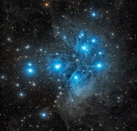 Pleiades Star Cluster, Nebula Tattoo, Nebula Wallpaper, Light Science, Astronomy Pictures, Star Clusters, The Pleiades, Whirlpool Galaxy, Orion Nebula