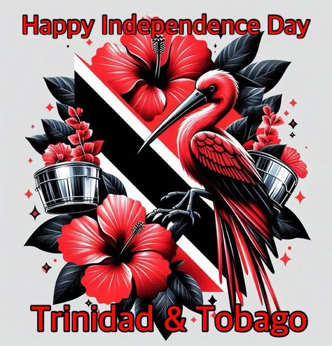 Happy 62nd Independence Day Trinidad & Tobago 🇹🇹 On 31st August 1962, Trinidad & Tobago gained independence from Great Britain. #trinidadandtobago #sweettnt🇹🇹 #noplacelikehome #nextflighttotrinidad Trinidad And Tobago Culture, Trinidad And Tobago Aesthetic, Trinidad Independence, Trinidad Culture, Box Background, Jamaican Culture, Trinidad Tobago, Tropical Fashion, Background Ideas