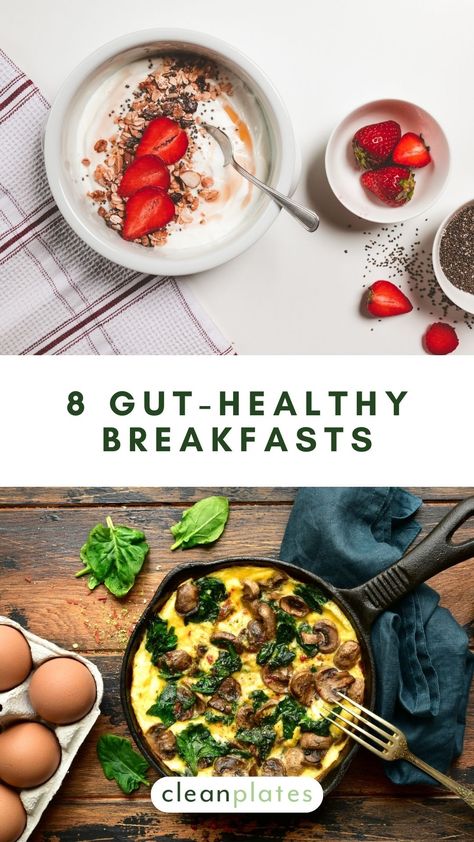 8 Gut-Healthy Breakfasts for a Happy Microbiome Microbiome Diet Recipes, Microbiome Recipes, Healthy Gut Diet, Microbiome Diet, Healthy Gut Recipes, Rope Workout, Gut Healing Recipes, Healthy Probiotics, Gut Health Recipes