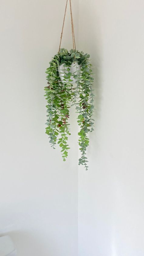 Create or purchase a vertical frame filled with pockets for plants. You can use felt or fabric pockets to hold herbs or small succulents, transforming a wall into a living garden. Hanging Corner Plants, Hanging Plants Corner Living Rooms, Green Fake Plants, Hanging Pot Plants Indoor, Fake Bedroom Plants, Green Hanging Plants, Cute Fake Plants For Bedroom, Eucalyptus Plant Aesthetic, Aesthetic House Plants