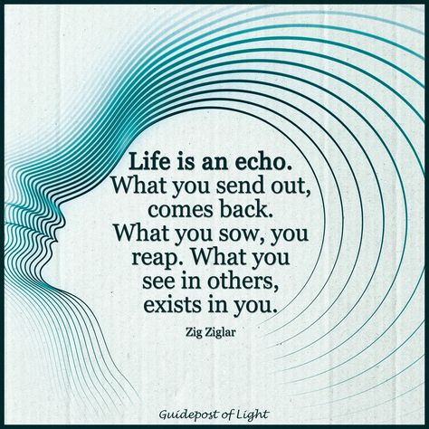 Life is an echo. Echo Quotes, Quotes About Perspective, Life Is An Echo, Perspective Quotes, Positive Encouragement, Shamanic Healing, Wonderland Quotes, Quotes Spiritual, Zig Ziglar