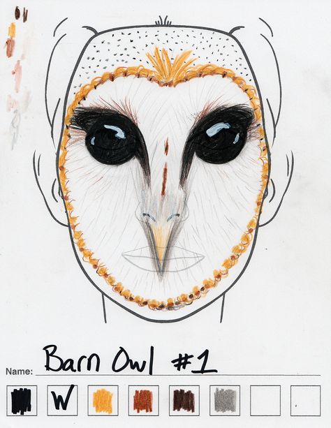 Barn Owl makeup sketch #1 Owl Face Makeup, Owl Face Paint, Owl Costumes, Shrek Makeup, Makeup Sketch, Sclera Contacts, Owl Makeup, Black Sclera, Halloween Makeup For Kids