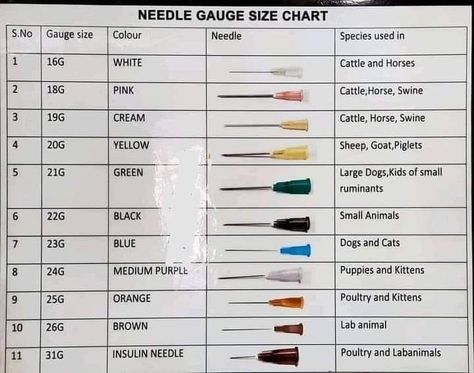 VET-MED/ANIMAL SCIENCE/ANIMAL HUSBANDRY/ANIMAL TECHNICIAN | Needle 💉 gauge size chart | Facebook Large Animal Vet Tech, Vet Science, Needle Sizes For Injections, Vet Tech Cheat Sheet, Vet Tech Outfit, Vet Tech Notes, Veterinary Medicine Student, Vet School Motivation, Vet Tech Student