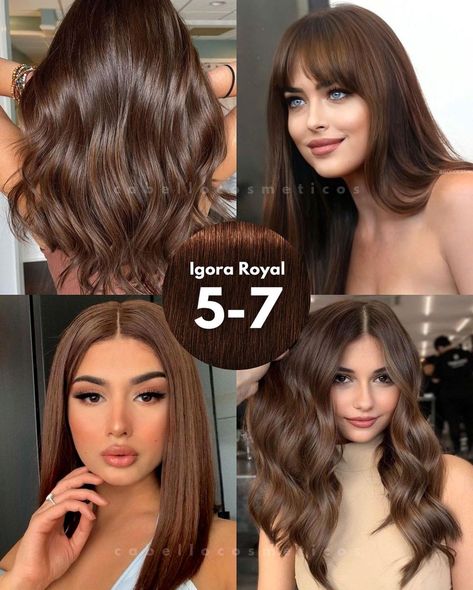 Igora Hair Color, Hair Color Chocolate, Chocolate Brown Hair Color, Brown Hair Looks, Brown Hair Inspo, Chocolate Hair, Hair Color Formulas, Hair Color Auburn, Types Of Hair