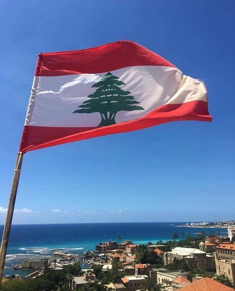 #Lebanon #Flag Lebanon Aesthetic Flag, Lebanon Flag Wallpaper, Lebanese Wallpaper, Lebanon Flag Aesthetic, Lebanon Quotes, Lebanon Wallpaper, Free Lebanon, Lebanon Tree, Lebanon Culture