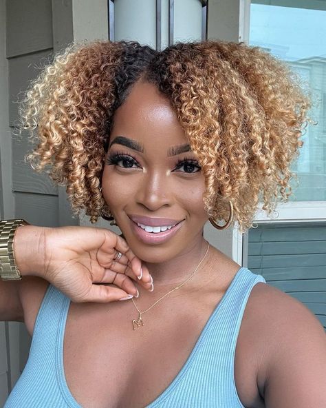 Honey Blonde 4b Natural Hair, Highlights For Honey Blonde Hair, Blonde Afro Dark Skin, Summer Hair Colors For Black Women, Blonde Afro Hair Black Women, Blonde 4c Hair, Honey Blonde Natural Hair, Afro Hair Color, Crochet Wigs