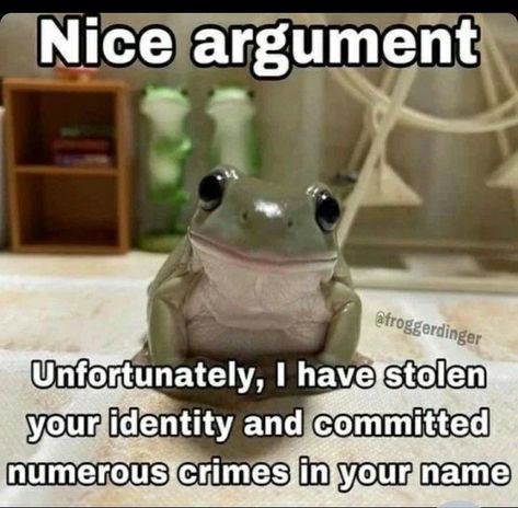 Frog Meme Funny Hilarious, Frog Meme Funny, Frog Meme, Funny Frogs, Funny Animal Jokes, A Frog, Very Funny Pictures, Funny Reaction Pictures, Cute Memes